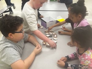4. Shell CVC words station